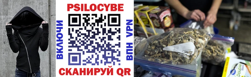 даркнет сайт  Усть-Джегута  Галлюциногенные грибы Psilocybe 