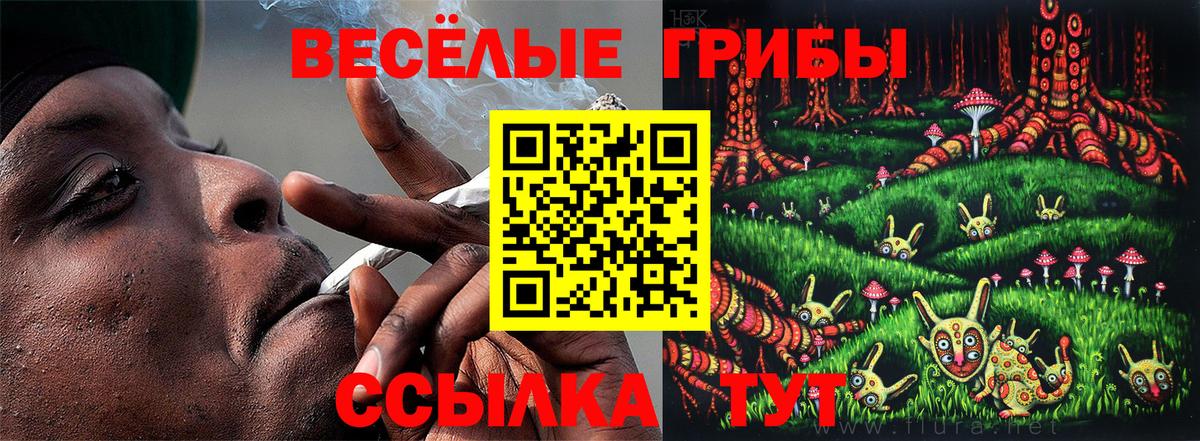 Псилоцибиновые грибы GOLDEN TEACHER  магазин    Усть-Джегута  Вход с VPN 